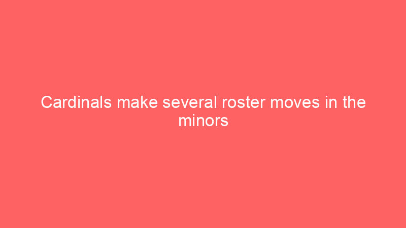 Cardinals make several roster moves in the minors highlighted by red-hot infielder